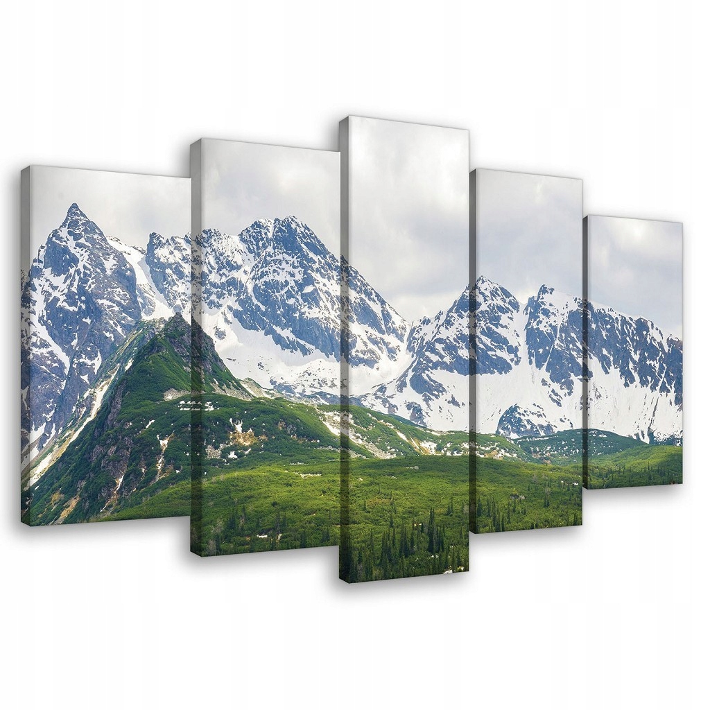 Obraz 100x60 Horská krajina příroda hory les sníh panorama klid