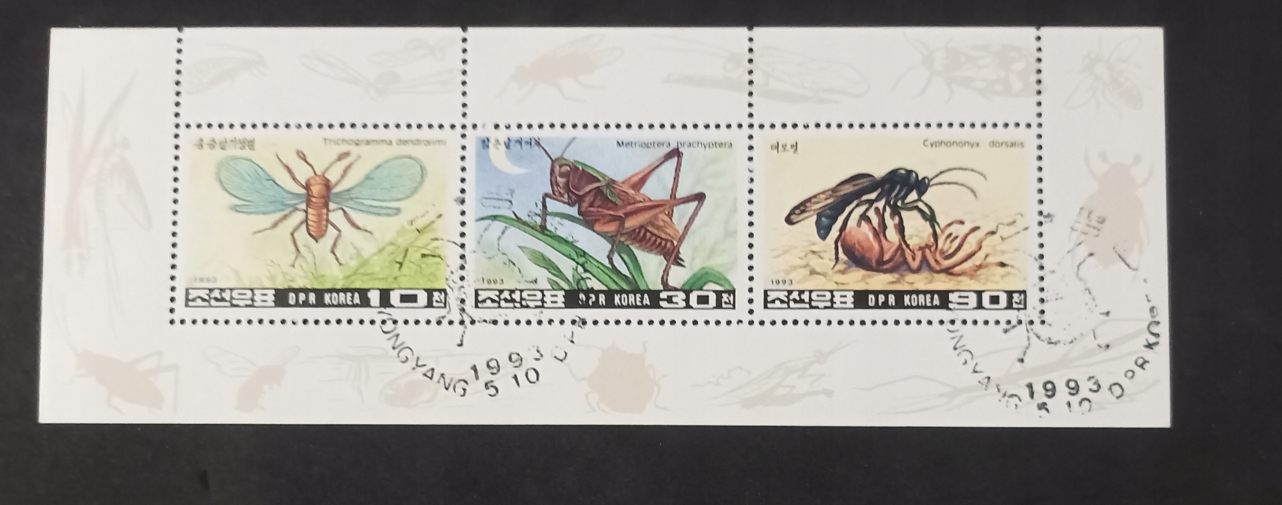 Korea F1848 Owady kasowane.