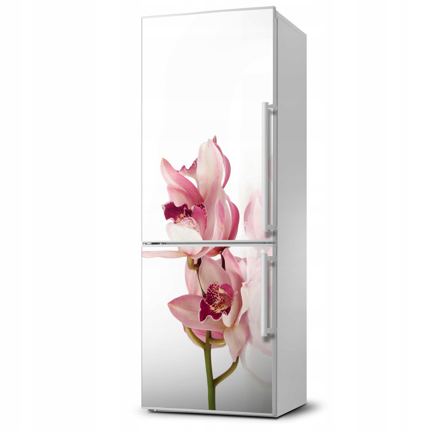 

Foto Magnes Tapeta na lodówkę Różowa orchidea XL
