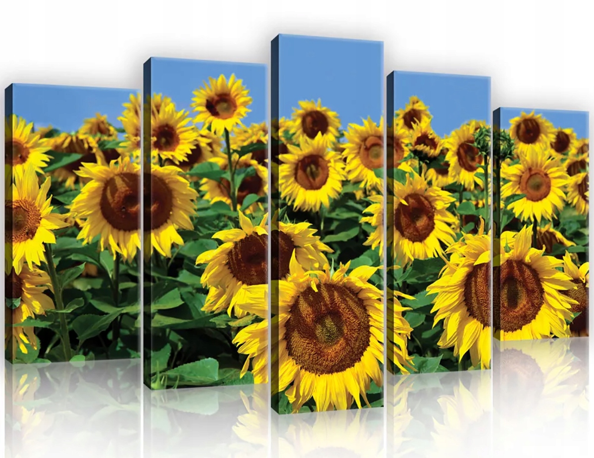Obraz Na Plátně Canvas 100x60 Slunečnice Květiny