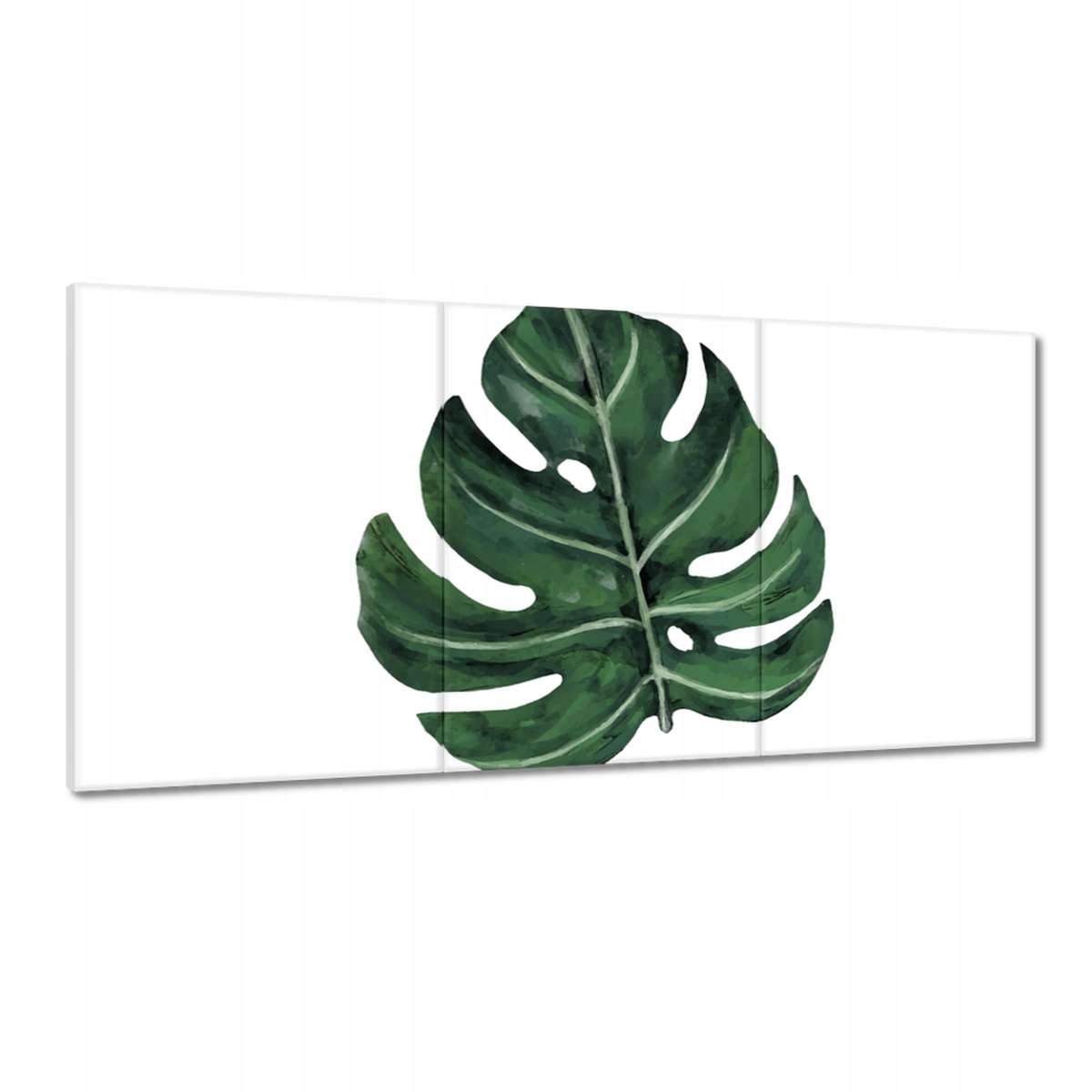 Obrazy 180x90 Monstera Zelený list