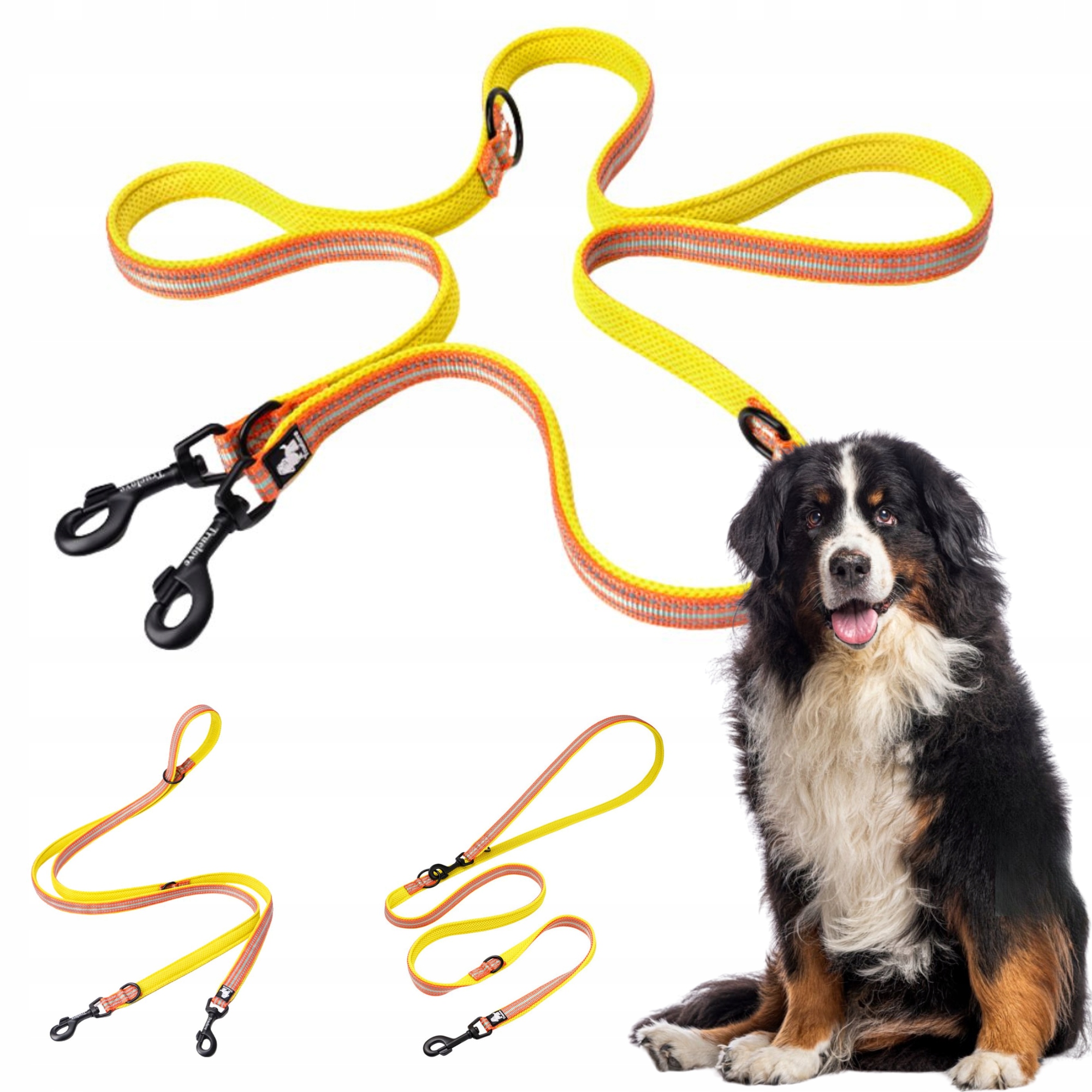 Vodítko Pro Psa S Reflexním Zapínáním Truelove Active Pro 200 CM Žlutá L