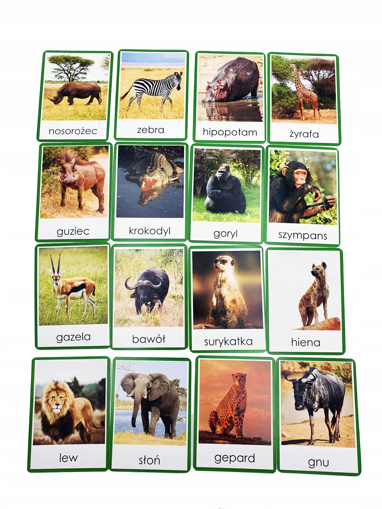 KARTY OBRAZKOWE zwierzęta Afryki safari REALNE ZDJĘCIA 7x10cm MONTESSORI ISBN 5905567391392