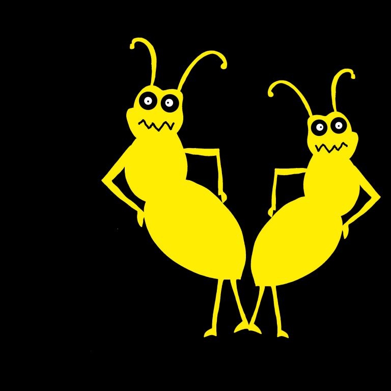 

Męska Koszulka Mrówka Mrówkojad Wzory m3b