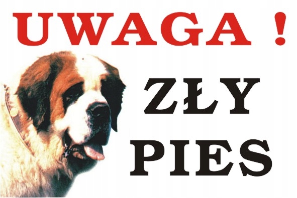 

Tabliczka Pies Uwaga Zły Pies 40x30cm #123