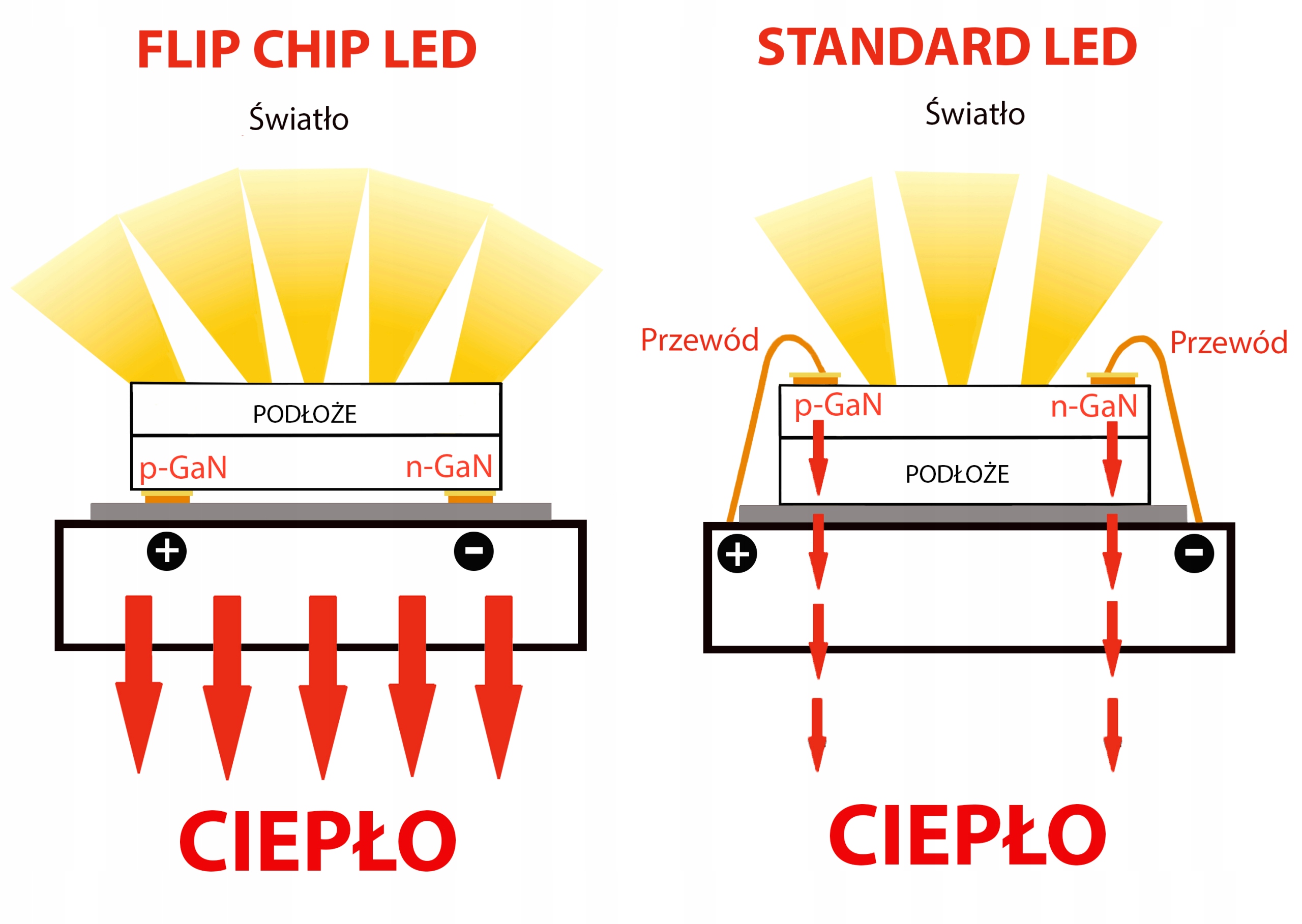 ŻARÓWKI H1 LED FLIP CHIP USA 6000K 12/24V CANBUS Podstawa P14.5s