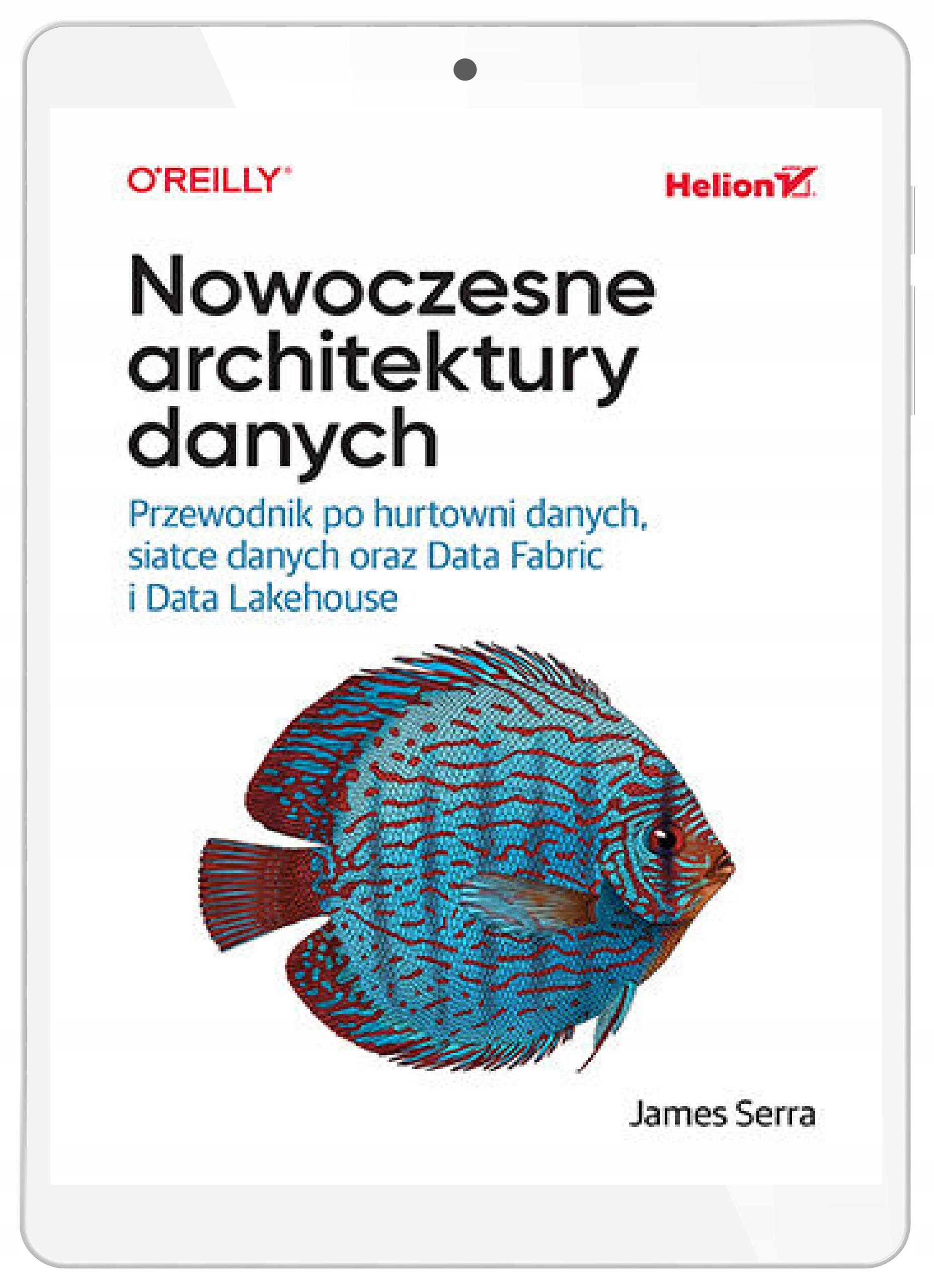 Nowoczesne architektury danych. Przewodnik po