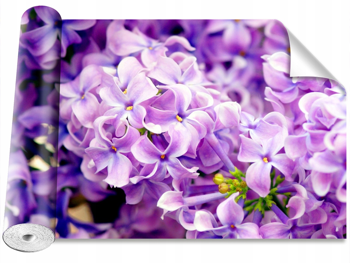 

Tapeta Samoprzylepna Fioletowe kwiaty 416x254