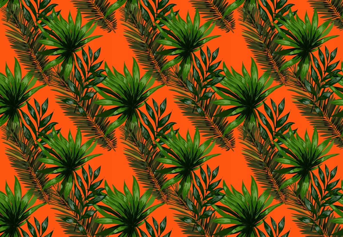 

Fototapeta Flizelinowa Tropikalne liście 152x104