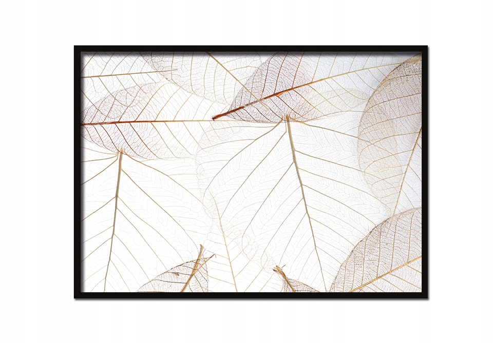 OBRAZ PLAKAT W RAMIE 53x73 cm Złote Liście P634