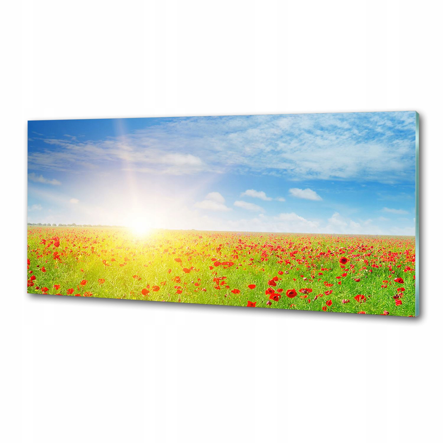 Panel dekor sklo Makové pole 125x50 cm Lepidlo
