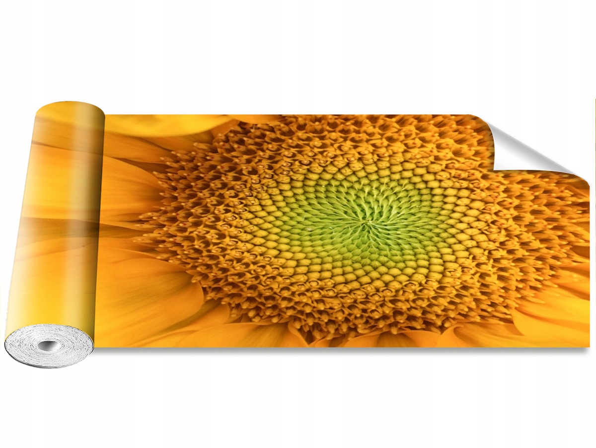 

Tapeta Samoprzylepna Słonecznik - 250x104