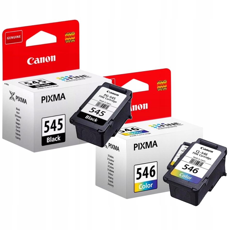 Tusz Canon PG545 CL546 Pixma TS300 TS200 TS3100 TR4500 MG2455 MG2550 TS3300
