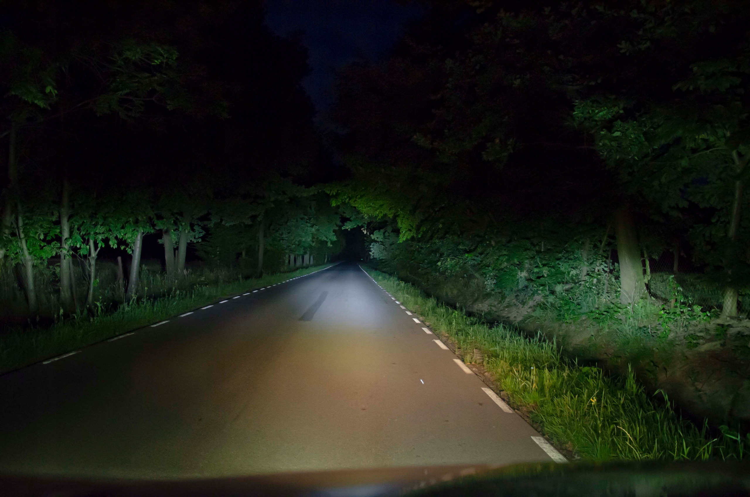 3145e14747a5afbfeac9b1590262