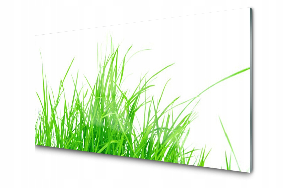 

Panel szklany dekoracyjny Dekor Trawa 100x50