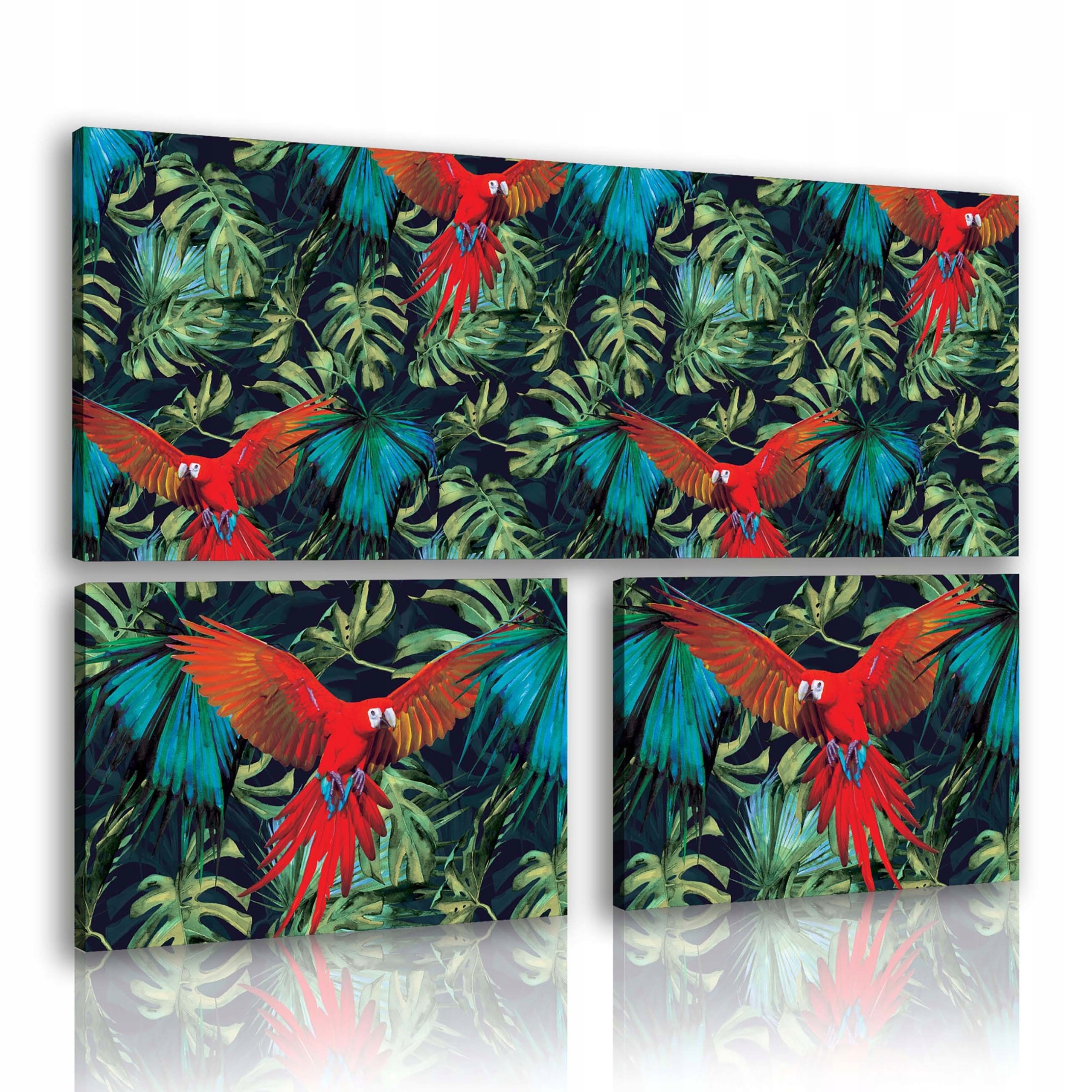 Obraz 80x55 Tropy papouška ara let ptáků džungle exotika příroda dekorace