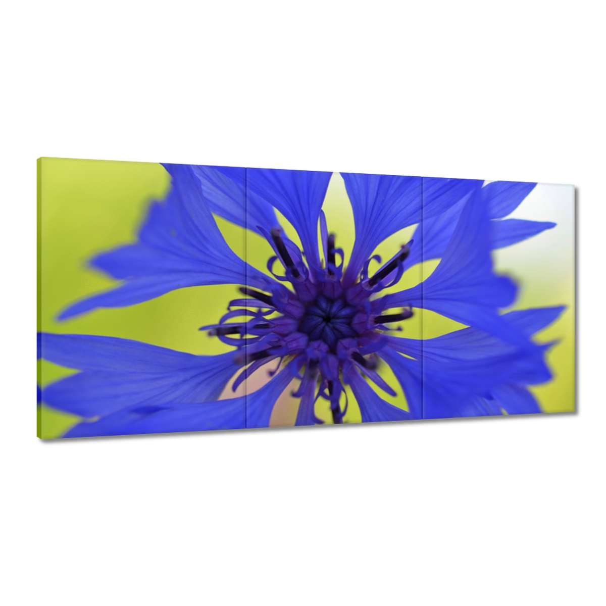 Obrazy 180x90 Chaber