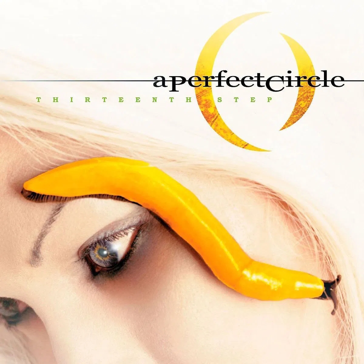 Perfect Circle: Thirteen Step CD