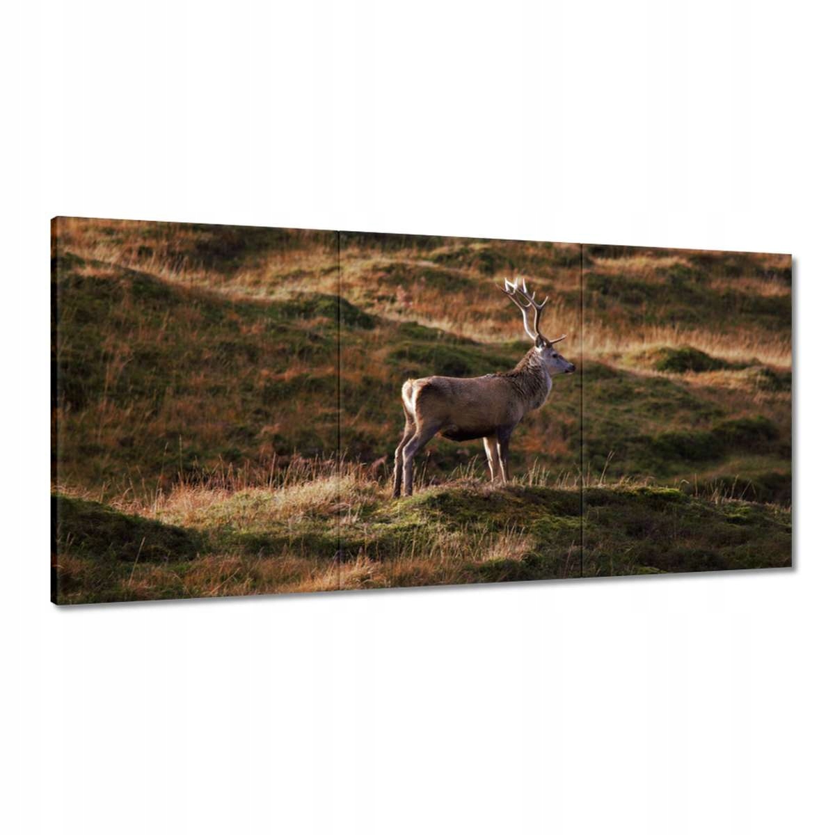 Obrazy 180x90 Jeleň v prírode Poľovníctvo