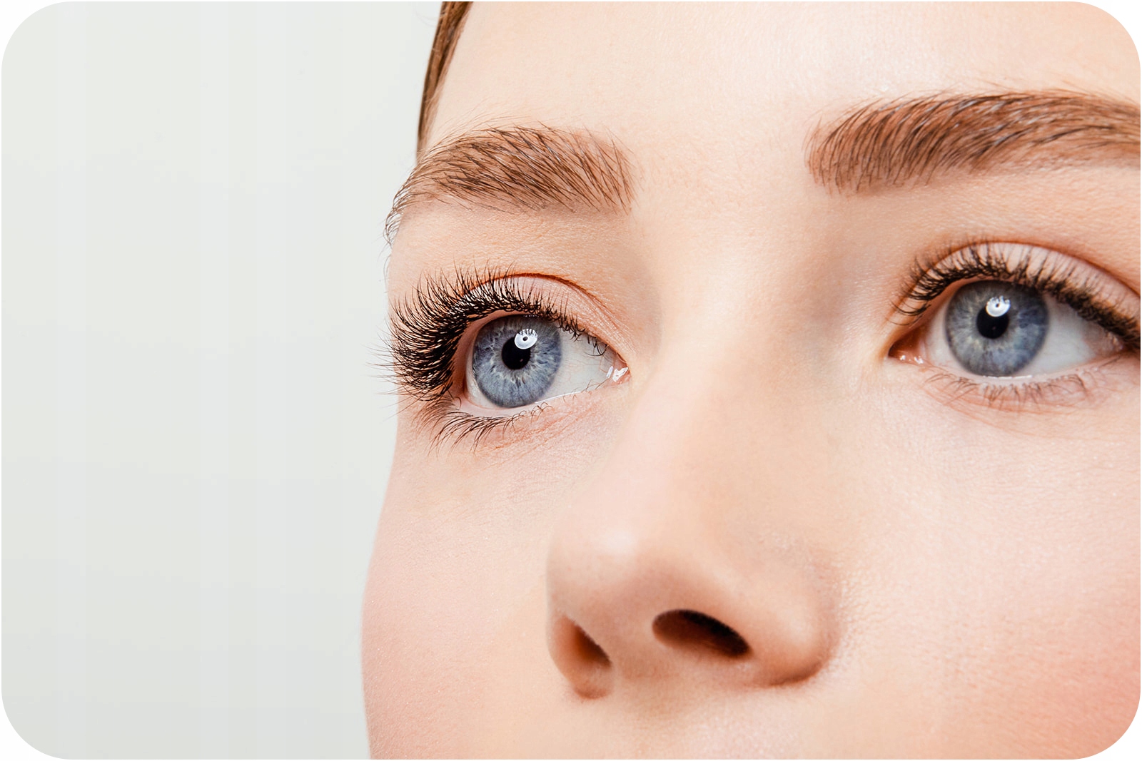 SZTUCZNE RZĘSY Rarity Black Brown Lashes skręt CC | 0,10mm | 12mm Marka inna marka