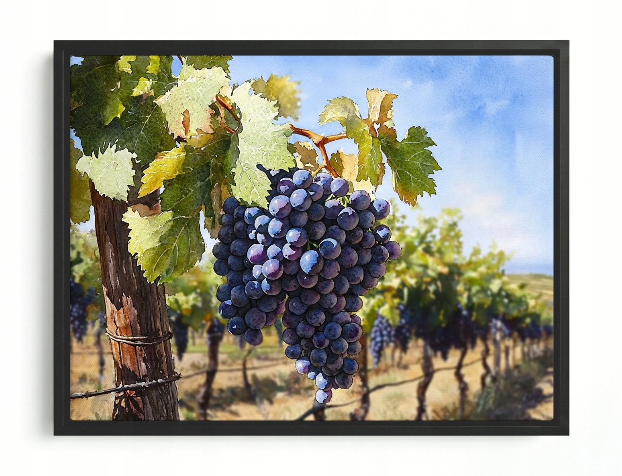 Obraz Rám American Box Hrozno Vinohrad Jeseň Krajina 80x60