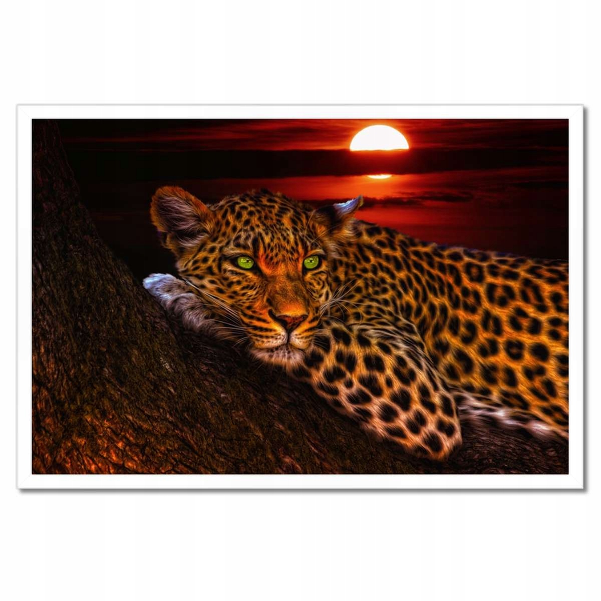 Plakáty v rámu 60x40 Leopard pantera