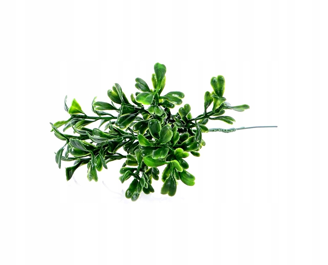 

Borówka gałązka liść gęsta 17 cm zielona Wielkanoc