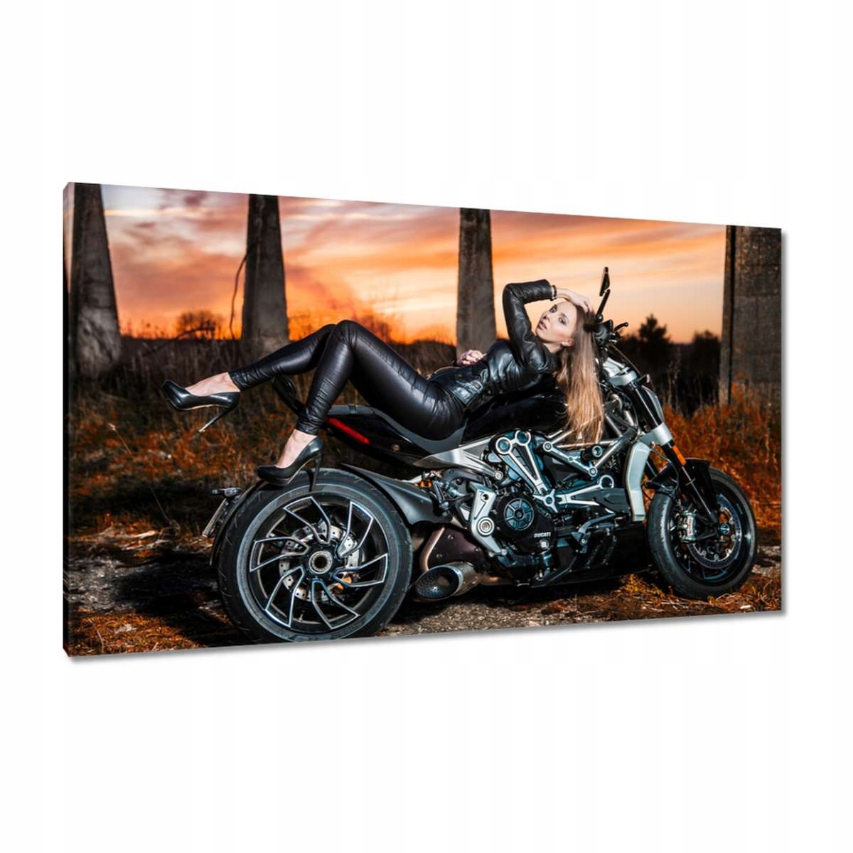 Obrazy 120x70 Ducati motorka Motocykl