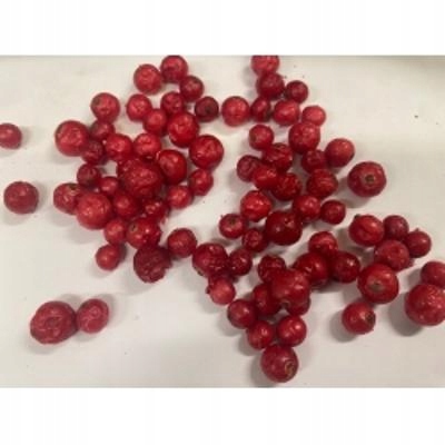 Levně Červený rybíz Lio. 1 kg Rafex