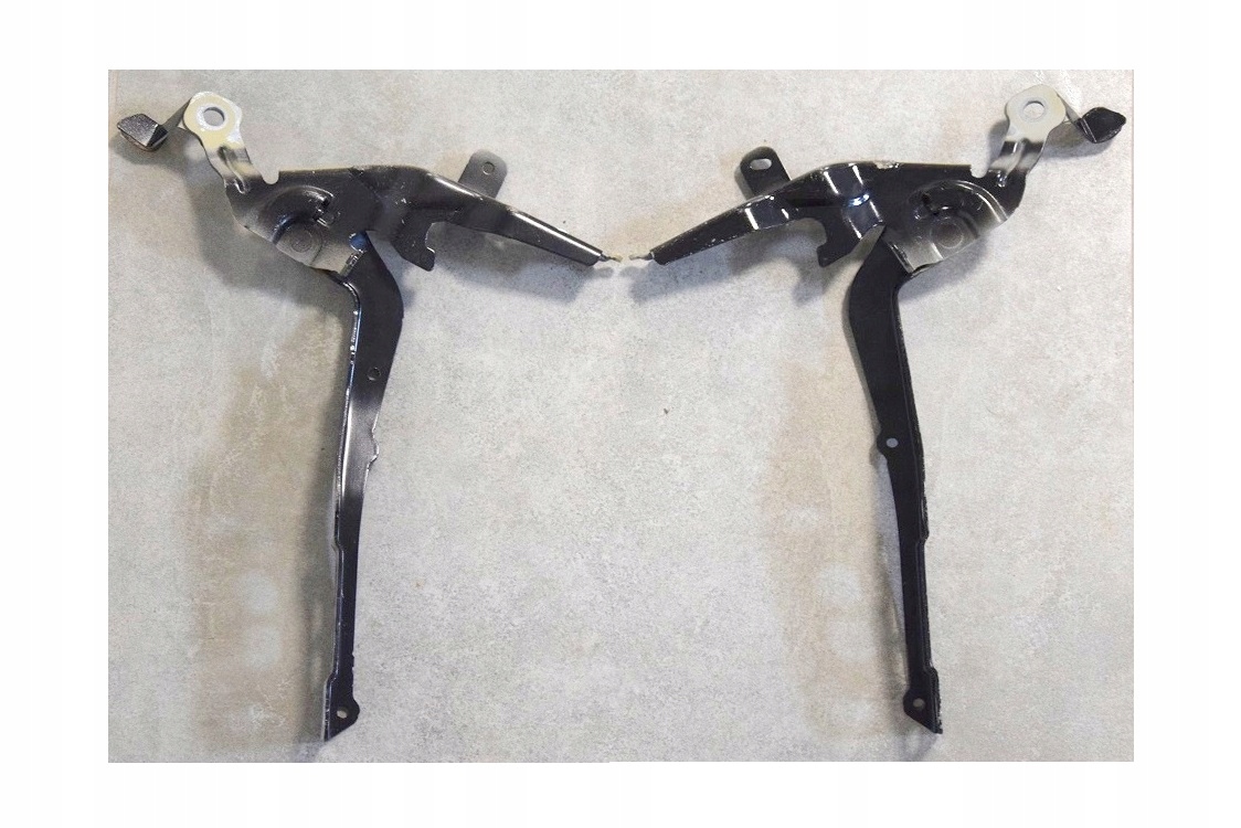 9820730880 - PEUGEOT 2008 II 19-р. комплект петли капота петля