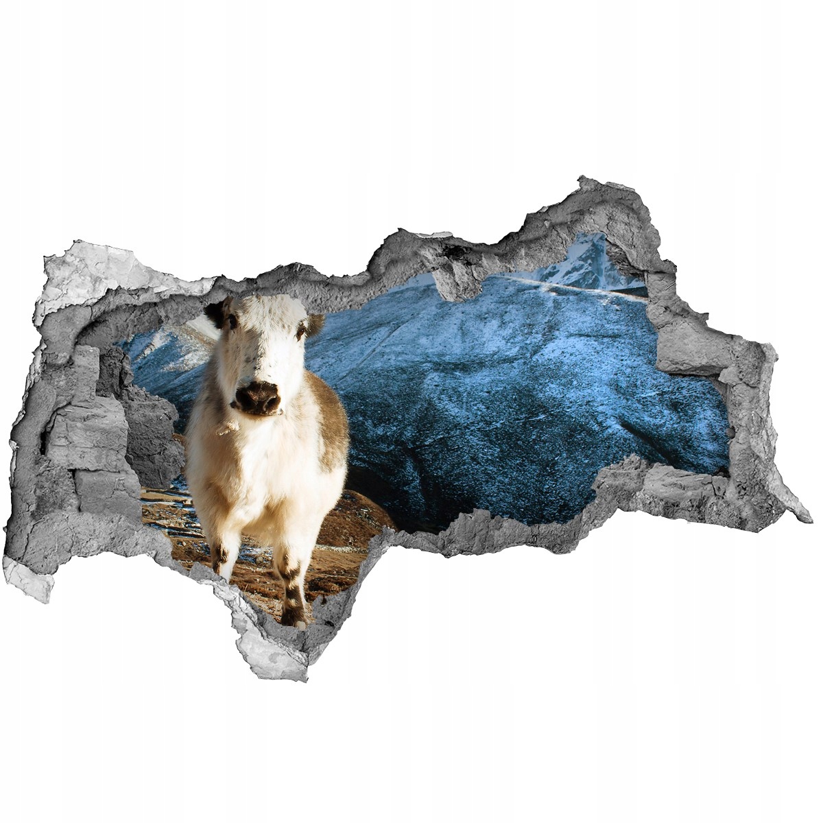 

Dziura 3d fototapeta Naklejka Jak góry 115x88