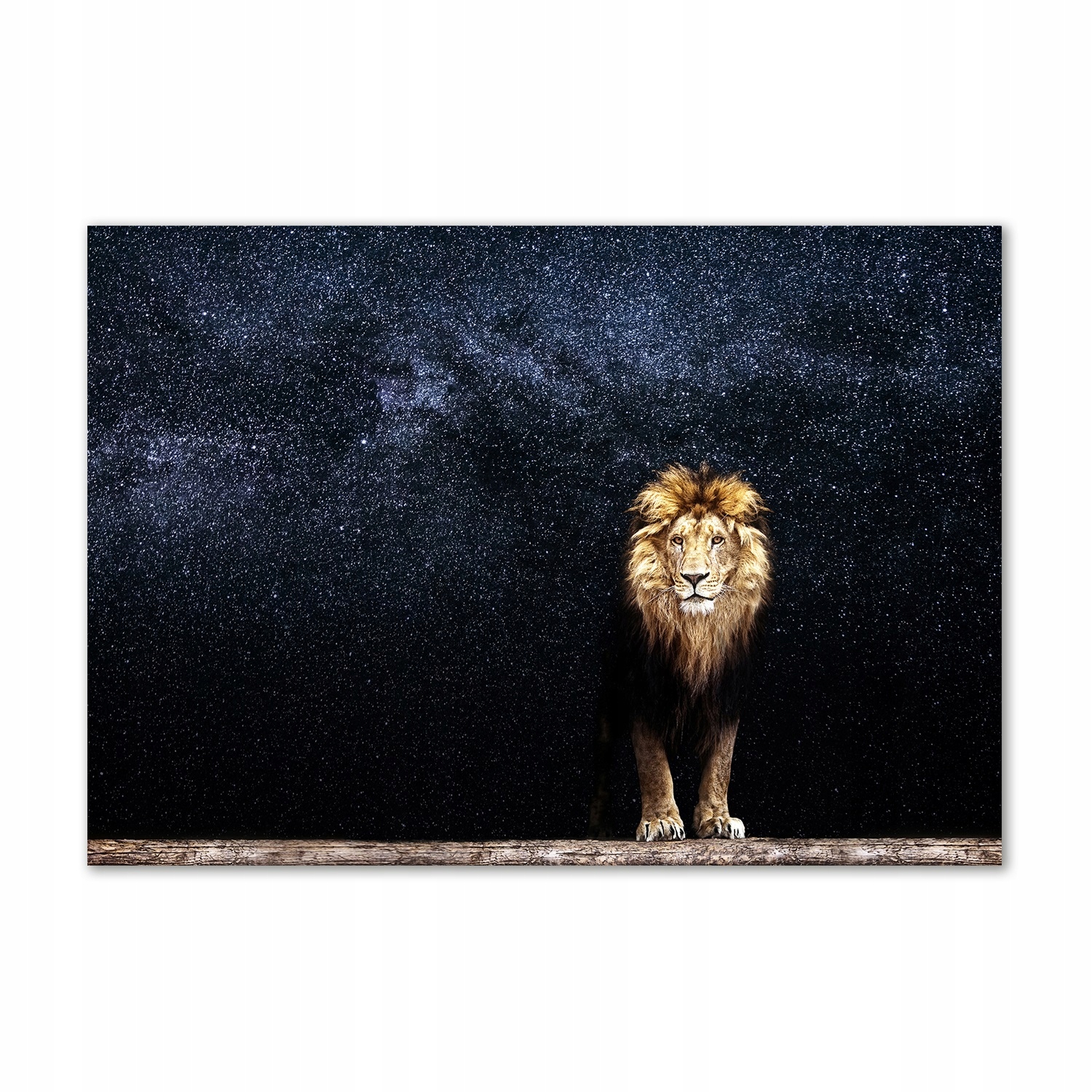 

Foto obraz szkło akryl Lew na tle gwiazd 100x70 cm
