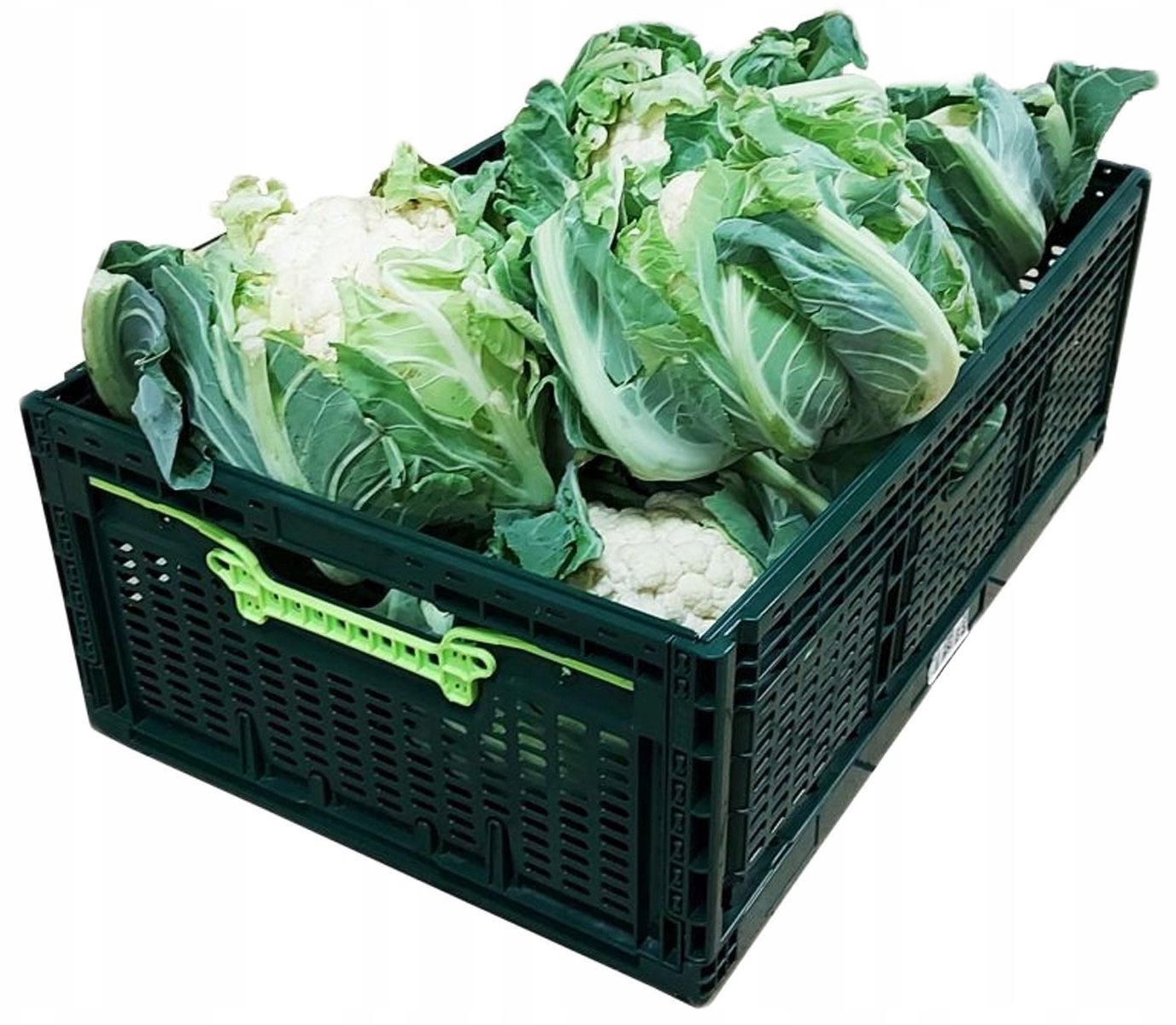 Składany Pojemnik Magazynowy Mocny XXL 40x60 46L Kod producenta Składany Pojemnik Magazynowy Mocny XXL 40x60