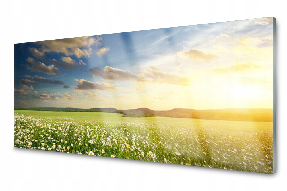 Sklenený panel do kuchyne Lúka Kvety 125x50