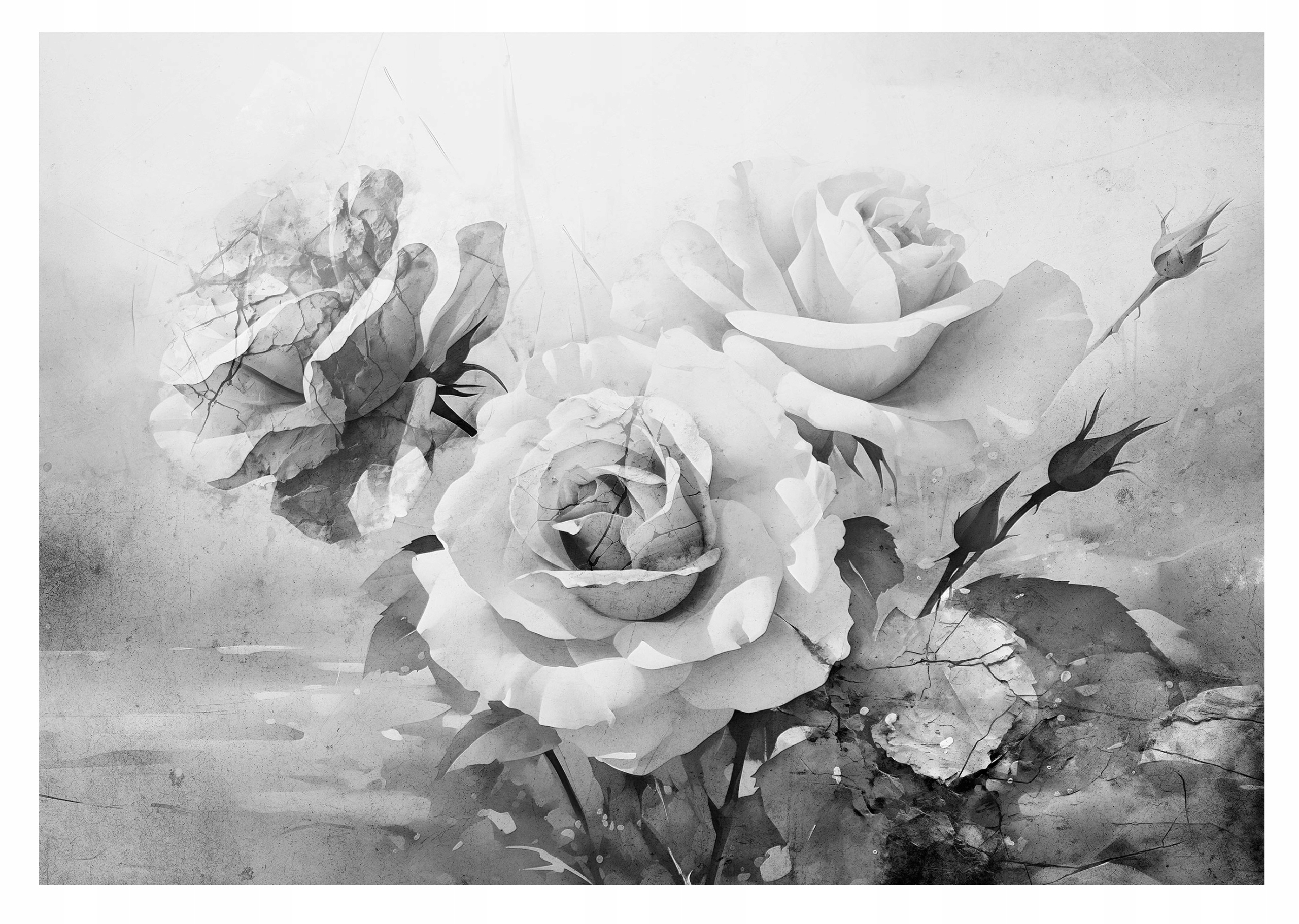 Fototapeta Růže Květiny Na Betonu Obývací pokoj 416x254