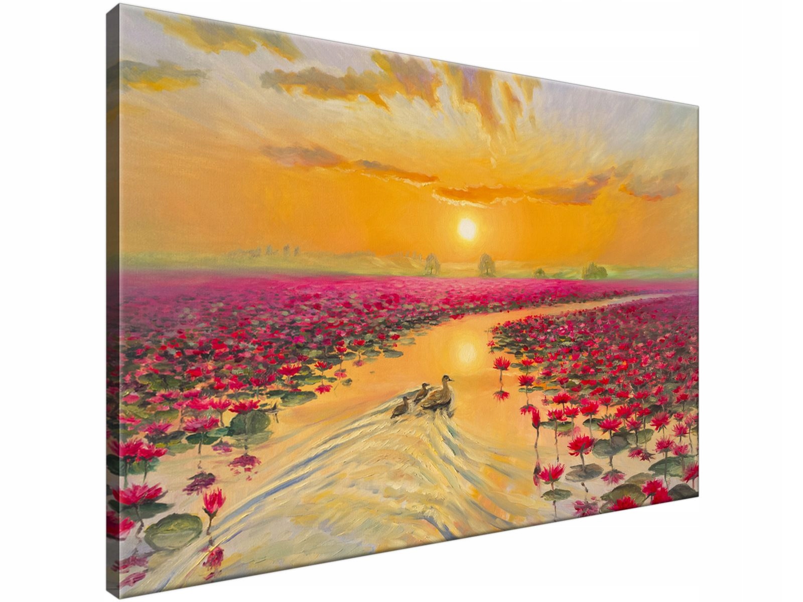 

Obraz drukowany Kaczki w liliach 90x60 Piękny