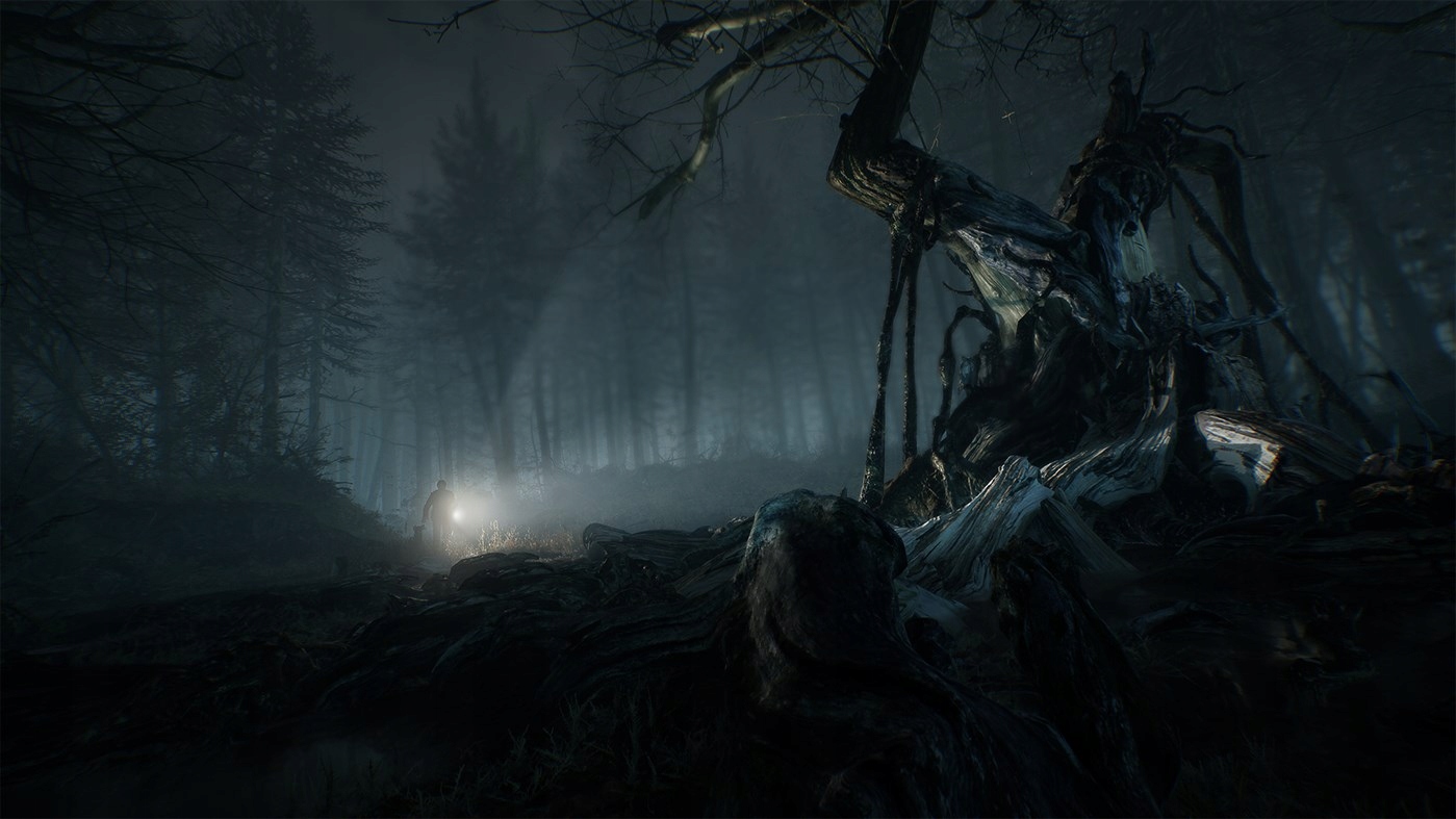 BLAIR WITCH XBOX ONE/SERIES X|S KLUCZ KOD Producent Xbox Game Studios / Microsoft Studios