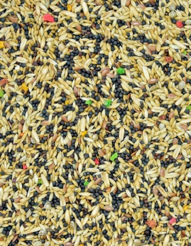 KARMA DLA KANARKÓW K 10KG SUPER GOLD WINGS