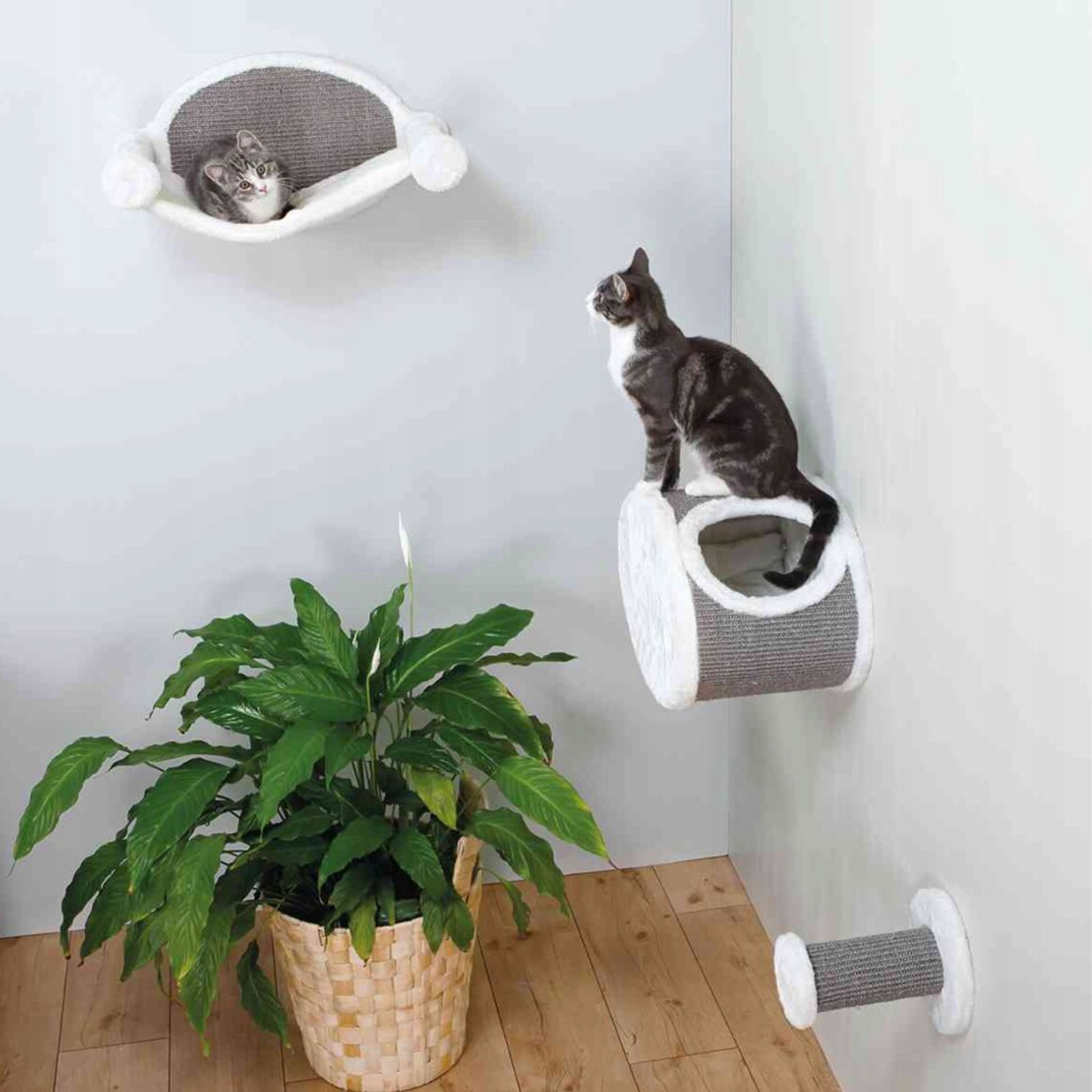 Trixie Budka legowisko półka hamak drapak dla kota do wspinaczki na ścianę