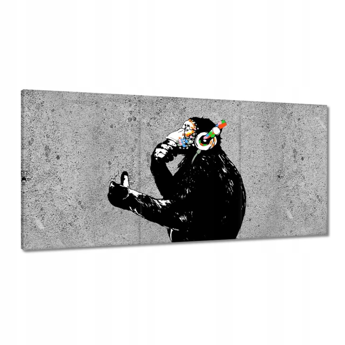 Obrazy 180x90 Dj Opica má rád Like it