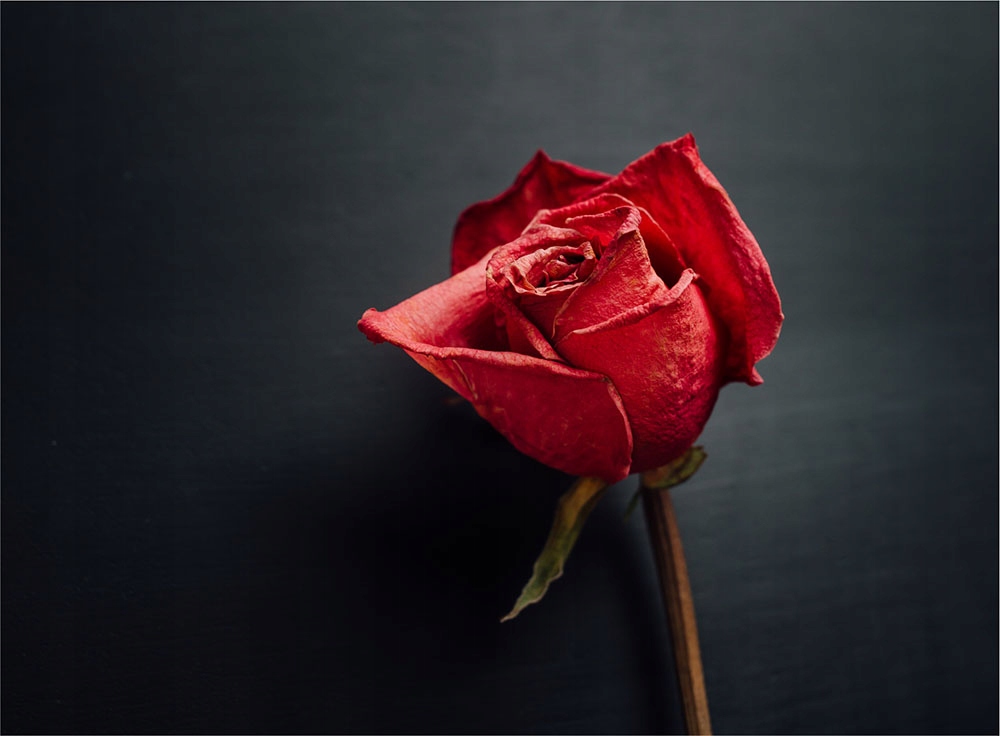 SZKLANA DESKA DO KROJENIA HARTOWANA 30x22 RÓŻA SZKŁO HARTOWANE Kolor wielokolorowy