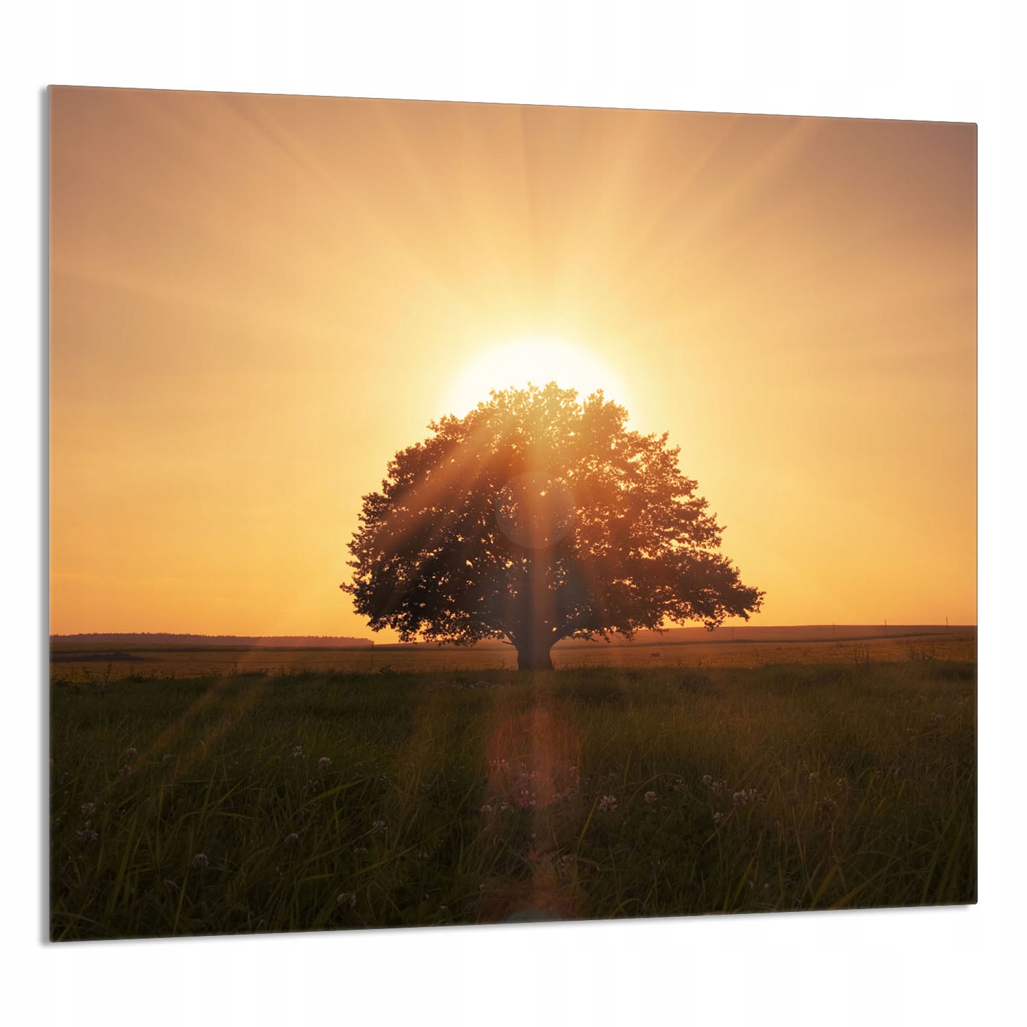 Skleněný Panel Do Kuchyně 65x60 Dřevo Tvrzené Sklo
