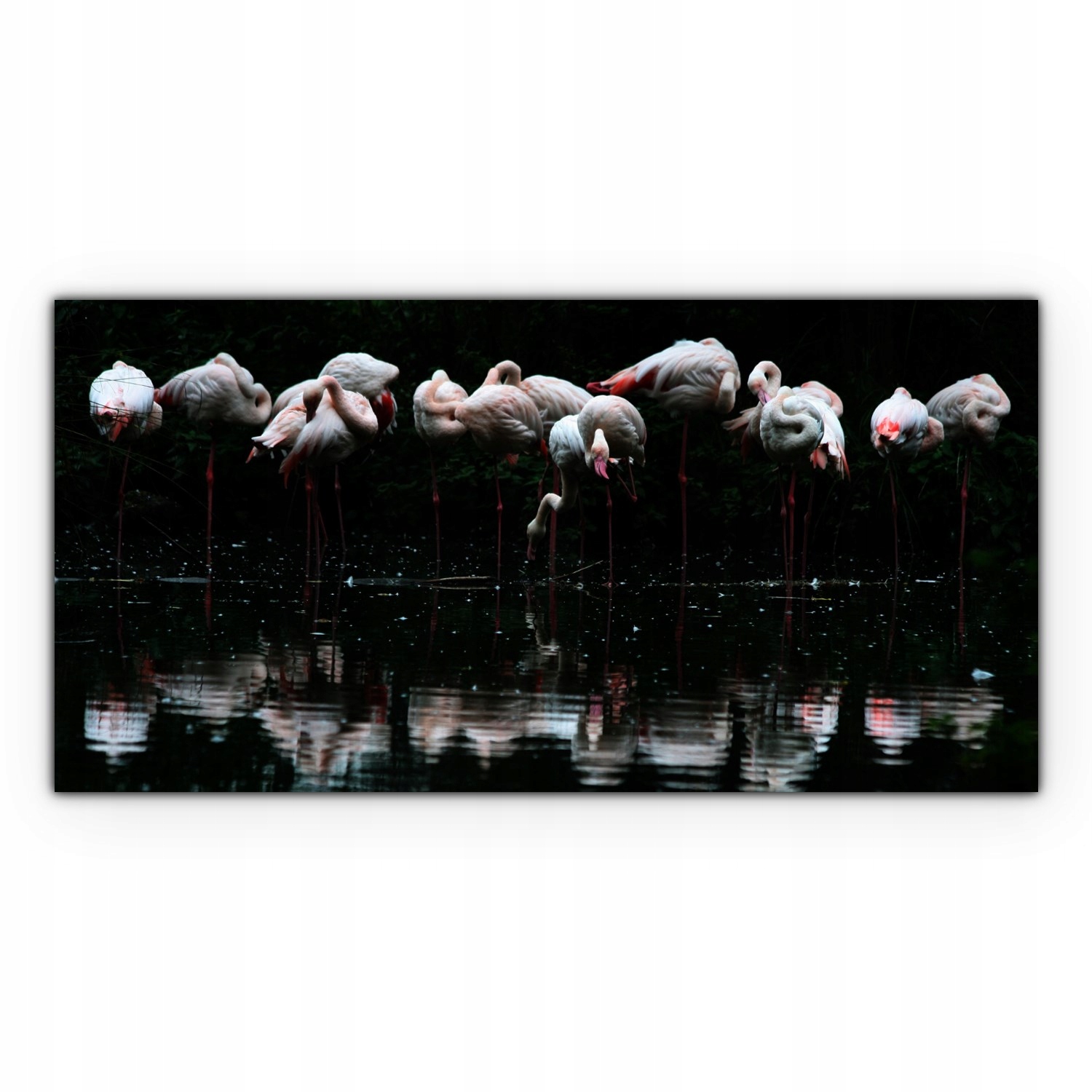 

foto-obraz na płótnie 140x70 Flaming Ptak Zwierzę