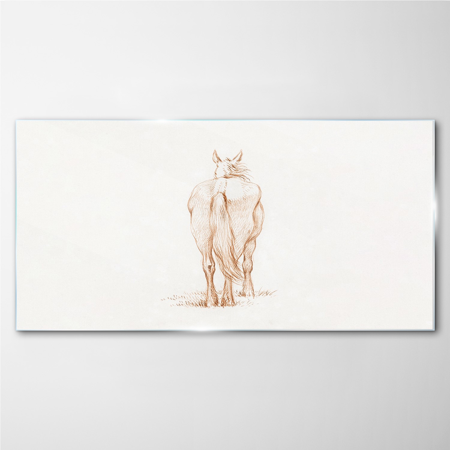 

Foto-obraz szklany na ścianę Zwierzę koń 100x50 cm