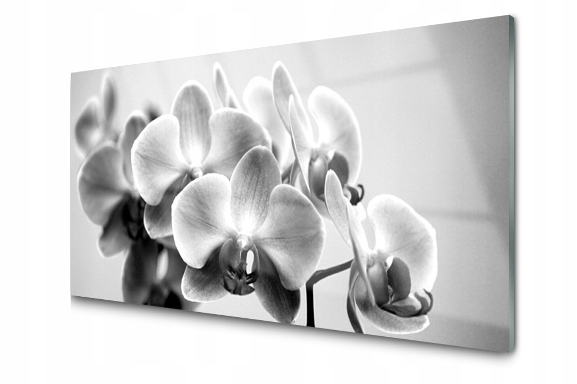 

Panel szklany dekor Kwiaty Roślina 120x60 + Klej