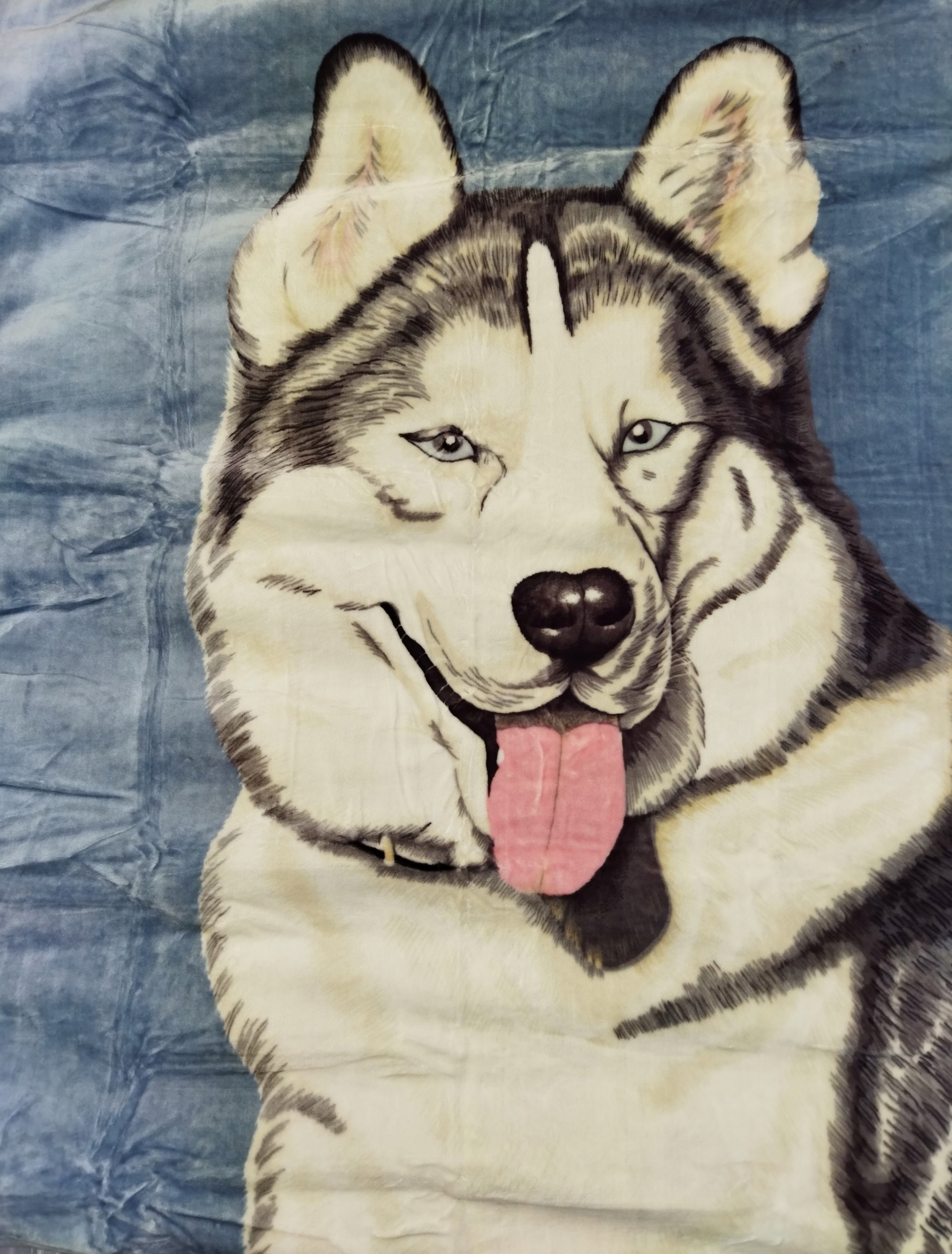 Koc Elway 160x210 cm PIES HASKI SZARY AKRYL Gruby