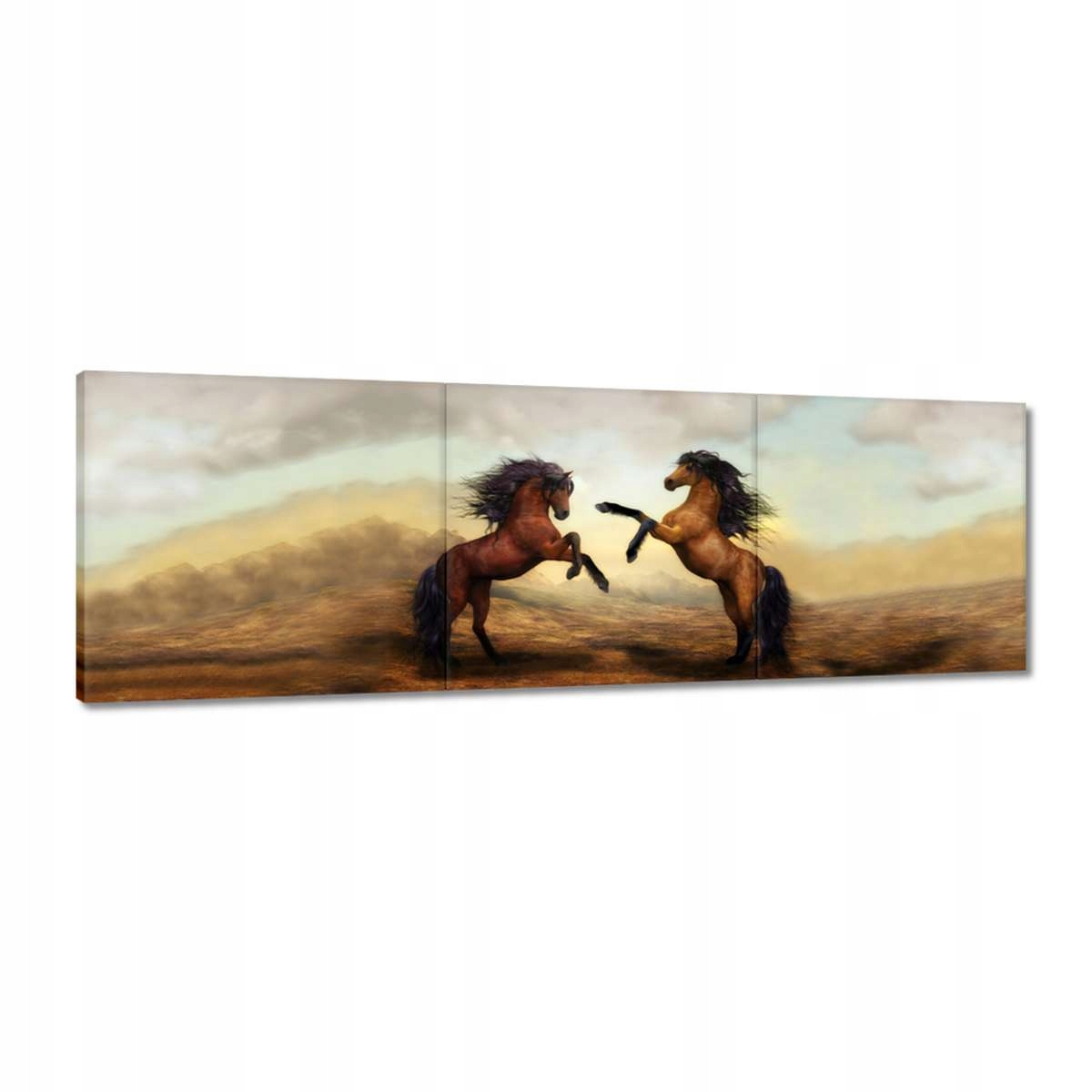 Obrazy 150x50 Dva koně