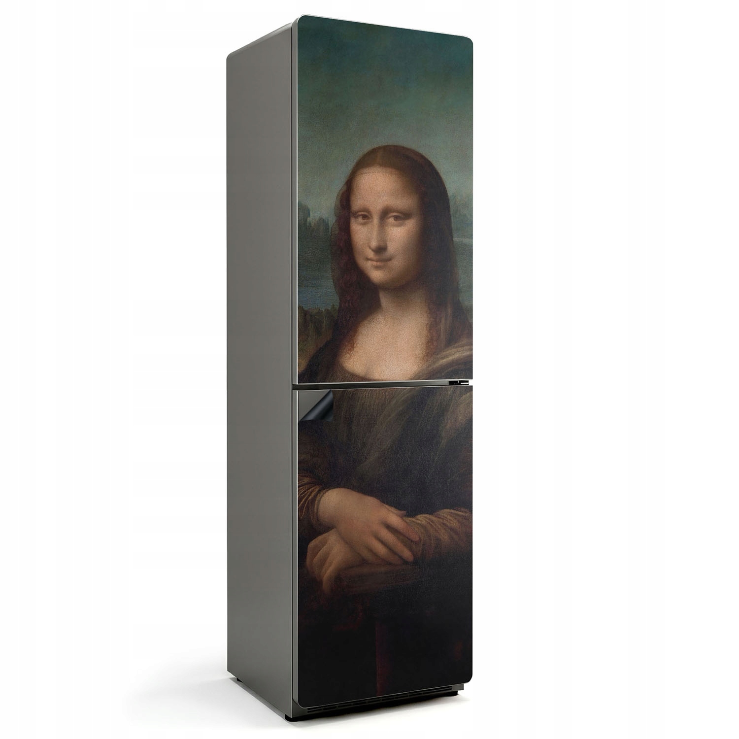 Umývateľná magnetická ochranná krytka na chladničku Portrét Mona Lisy 60x205