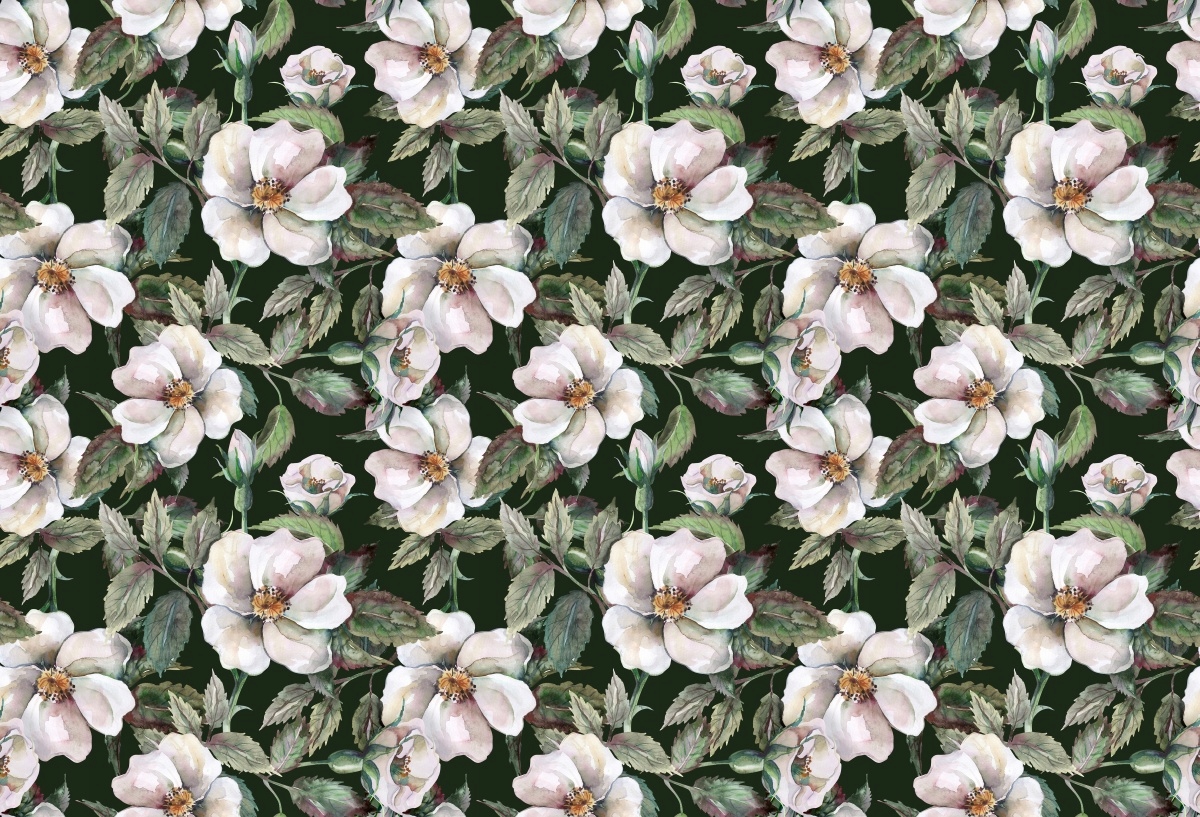 

Fototapeta Flizelinowa Dzikie róże - 104x70