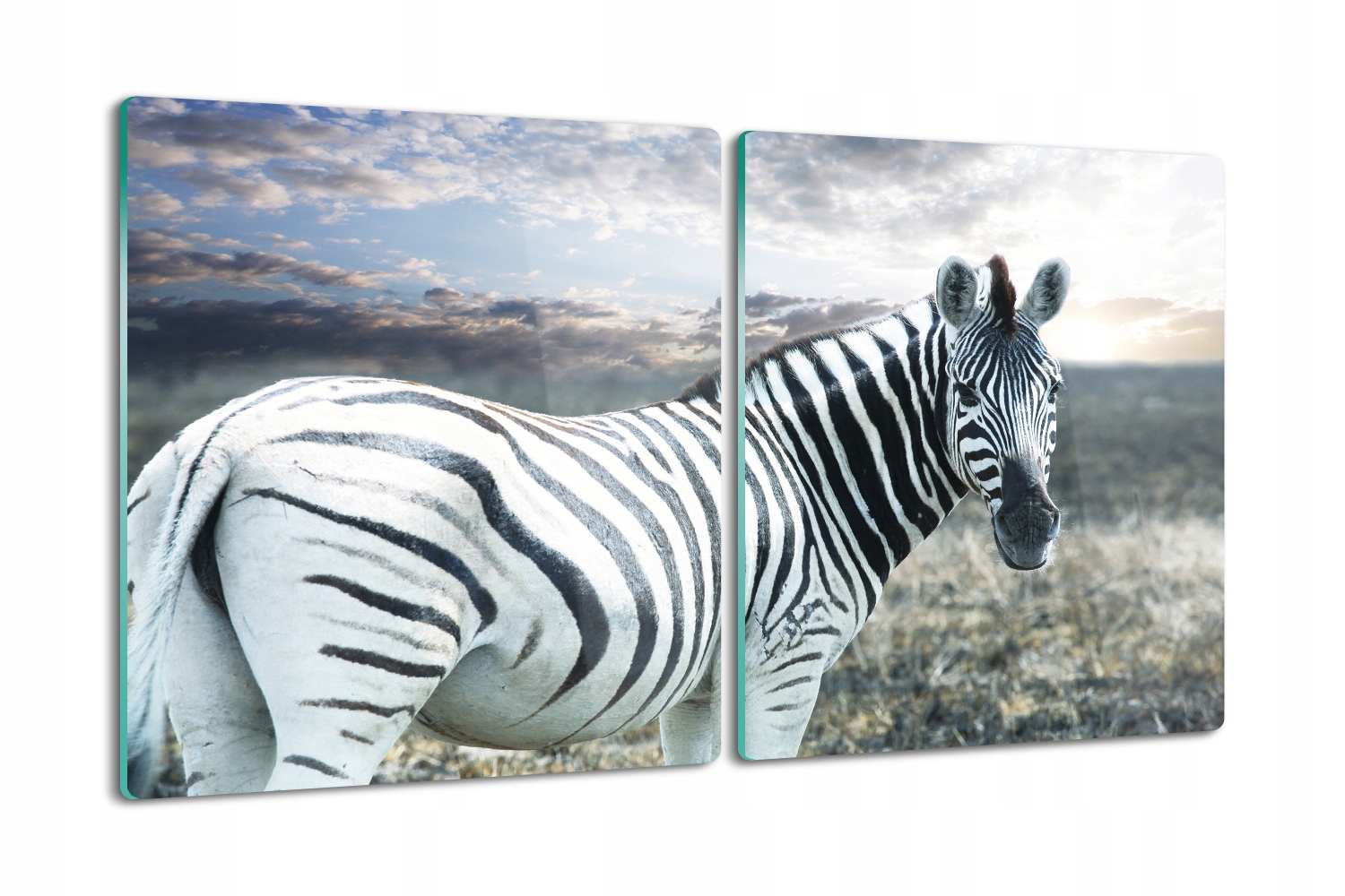 

deska 2x40x52 na blat kuchenny Zebra trawa chmury